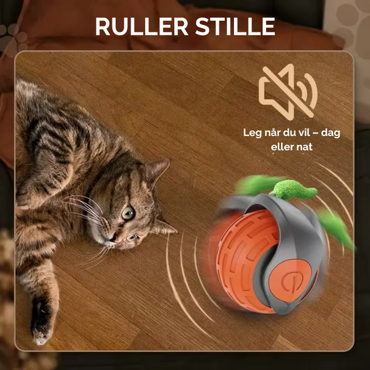 Basicxl | Bring uendelig glæde til din kat - selv når du ikke er hjemme!