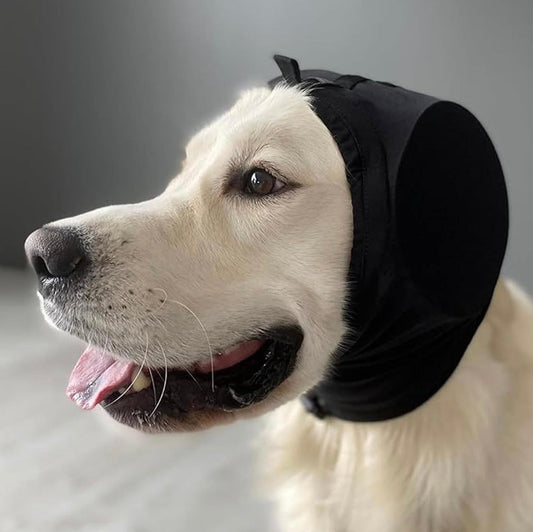 Basicxl | Beskytter hunde mod høje lyde